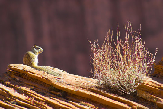 Canyon de Chelle