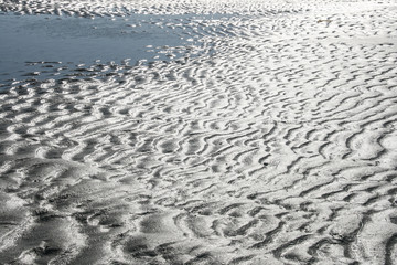 the beach in australia