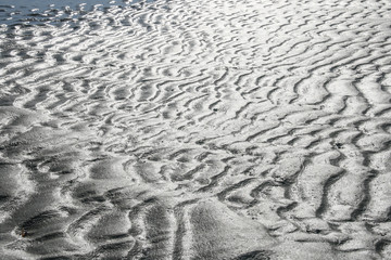 the beach in australia