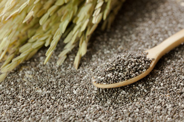 Handful of chia seeds on wood spoon and background