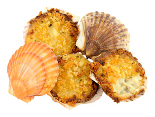 Coquilles St Jacques