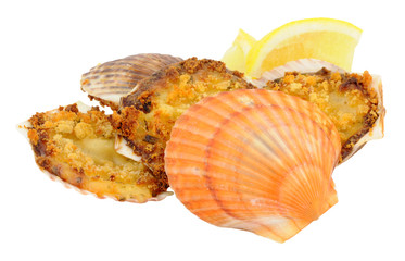 Coquilles St Jacques