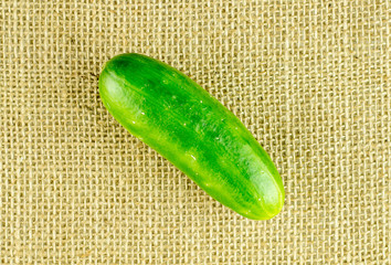 Aerial of Lebanese cucumber against hessian mat