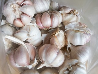 garlic