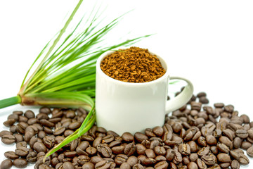 Roasted coffee beans and coffee powder