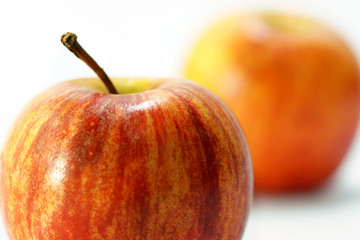 Wild apples isolated on  white background.