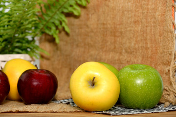 Apple multicolored