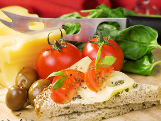 Cheese sandwich with tomato