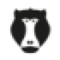 Pixel head of baboon, monkey in vector
