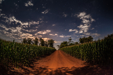 Night Scene of a corn plantation - Sussuí - Palmital - SP - Bra