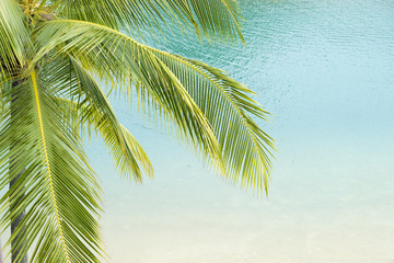 tropical sea resort © Yury Zap