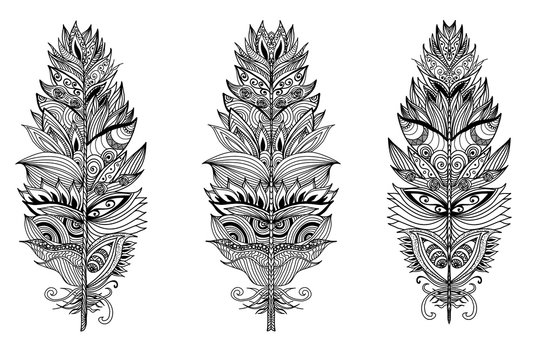 Set of hand drawn plumes. Vector illustration.