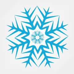 Obraz premium snowflake