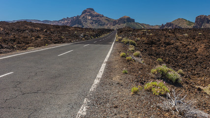 Straße durch den Teide-Nationalpark