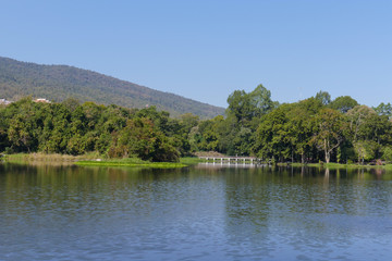 Fototapeta na wymiar the mountain and pond in the park