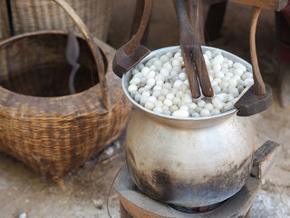 Boiling cocoon silkworm in a pot to prepare silk thread