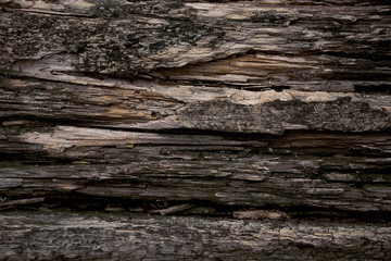 Very old Wooden Background