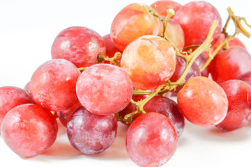 Red Grape on white background