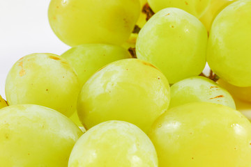 Green grape on white background
