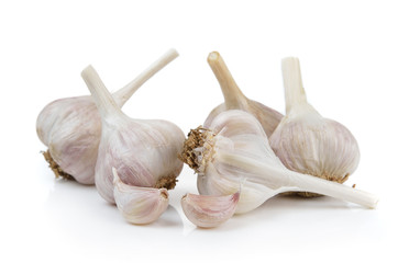 garlic on white background