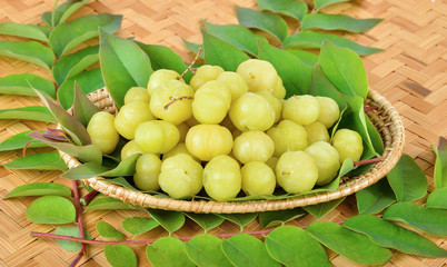 Star gooseberry with leaves