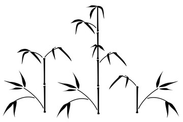 Fototapeta premium bambuspflanze vektor