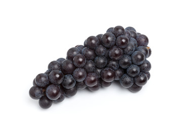 ブドウ　スチューベン　