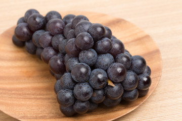 ブドウ　スチューベン　