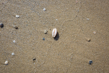 Sea water