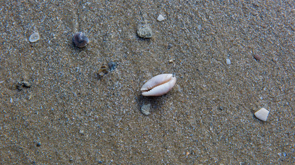 Sea water