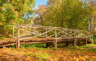 Bridge of the wood of birch logs in the autumn forest