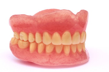 Close up of dental prosthetic isolated in white