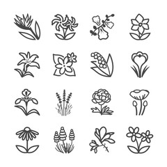 Naklejka premium Famous Flower line icons Set 2