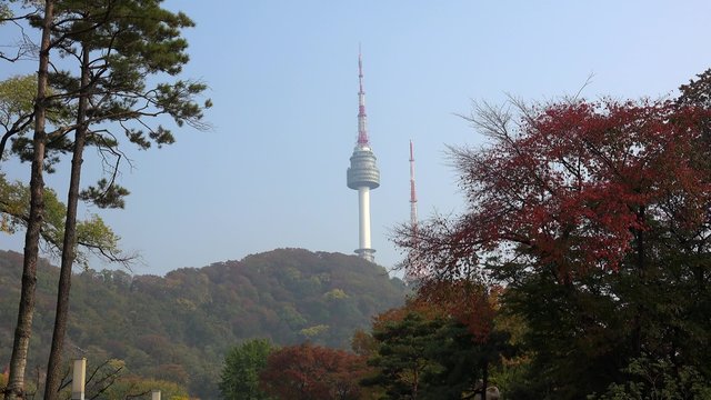 N Seoul Tower from the Namsan park.