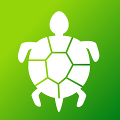 Obraz premium Turtle symbol vector