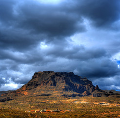 Sonora Desert