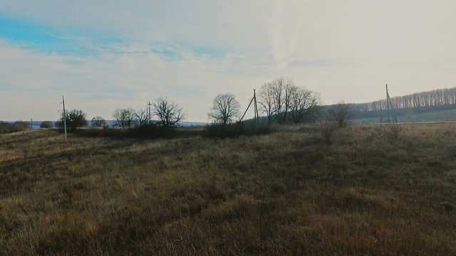 Aerial view over the field