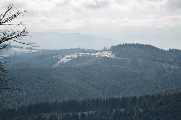 Panorama of the winter forest and mountains