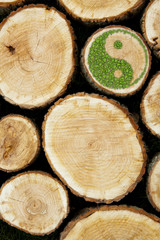 Stacked Logs Background with ying yang symbol