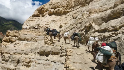 Raamstickers Caravan in the mountains, Upper Mustang © polmanet
