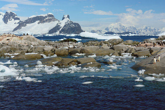 Landscape of Petermann Island in Antarctica