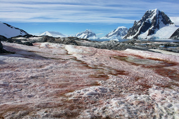Landscape of Petermann Island in Antarctica © robnaw