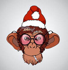 Portrait of a monkey in a Christmas cap
