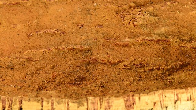 Kork, Nahaufnahme der Au&szlig;enseite der Rinde mit Kamerafahrt
