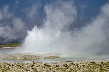 Yellowstone national park