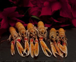 Langoustines for Lunch. Six cooked langoustines sit ready to be served for lunch. They are...