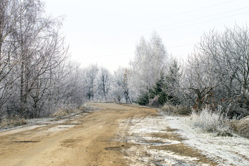 white hoarfrost on trees and road