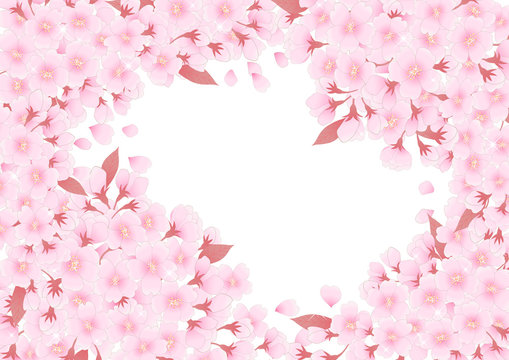 桜の枠　白背景　キラキラ