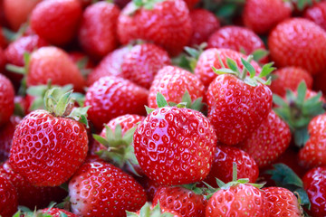 background from freshly harvested strawberries