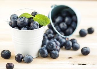 Fresh Blueberries in bucket